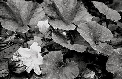 Et si t'allais... Et si t'allais...