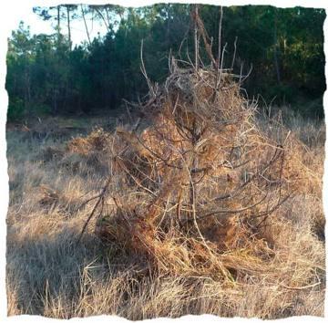 01 Retour d’Oléron