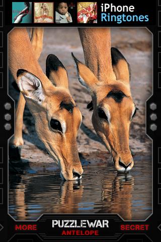[News : Jeu] PuzzleWar Antelope GRATUIT