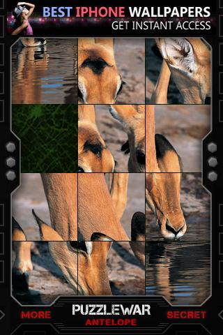 [News : Jeu] PuzzleWar Antelope GRATUIT