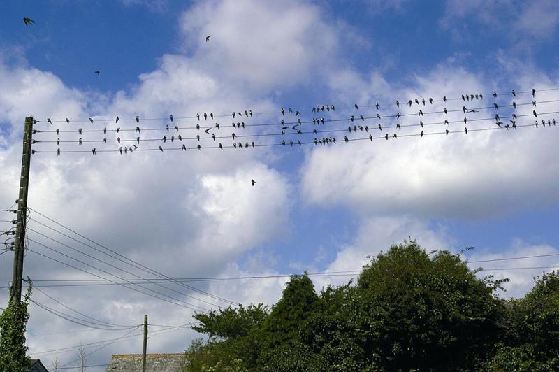 la beauté des femmes le 8 mars c'est la journée de la femme (Humour en image)