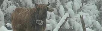 Le temps de votre journée de demain : Encore très perturbée.... Le temps de votre journée de demain : Encore très perturbée....
