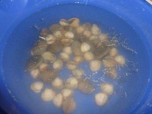 Porc Alentejana P1060950