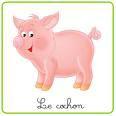 Challenge San-A, les cochons arrivent ! imagesCAO70KCW