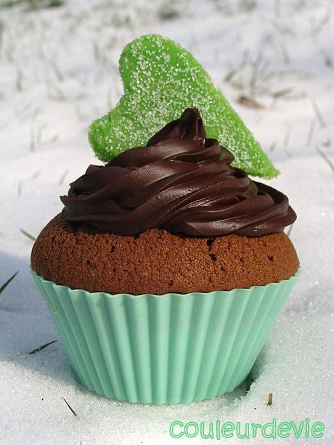 DSC06073 Cupcake tout chocolat
