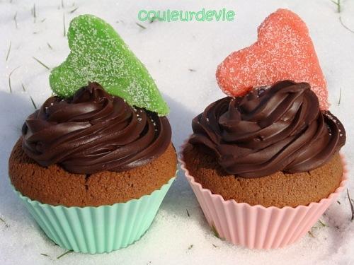 DSC06071 Cupcake tout chocolat