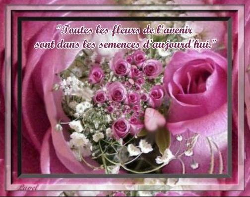 SUGGESTIONS citations_semencesdauj-1748758181