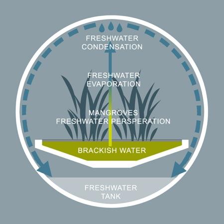 721-muuuz-evolo-dca-design-crew-for-architecture-8 Une tour produisant de l’eau douce