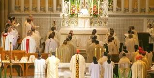 Australie: Boom des vocations pendant l'Année Sacerdotale, grâce aussi aux JMJ 0514-syd-l.jpg (318×162)