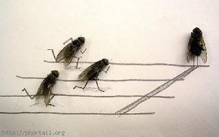 Tue-mouche Tue-mouche