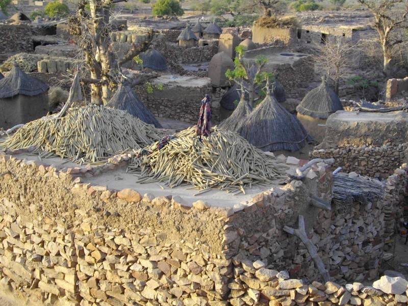 Rencontre avec le Mali : le voyage d'une classe BEPA SAP Mes contributions