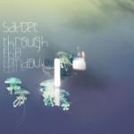 saycet_throughthewindow_cover