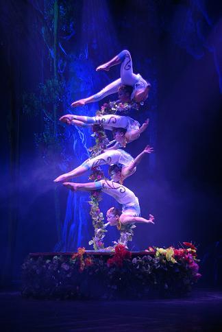 cirque-pekin-grenoble2 cirque-pekin-grenoble2