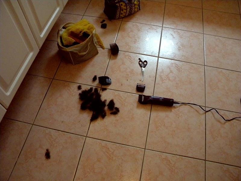 The crime scene