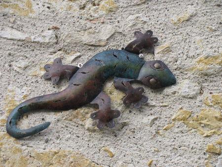 Balade à Saint-Orens-Pouy-Petit IMG_0442