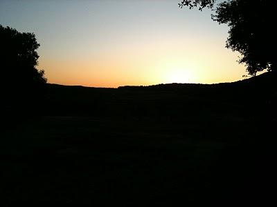 Courir, pour la première fois de l'année... Courir, pour la première fois de l'année...