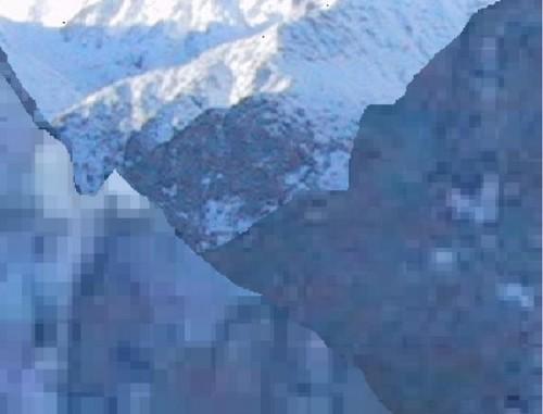 speculator speculator