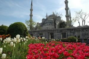 Istanbul capitale de la culture