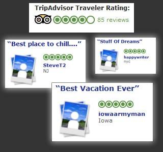 trip_advisor umih etrave consommation  restauration hôtellerie.jpg