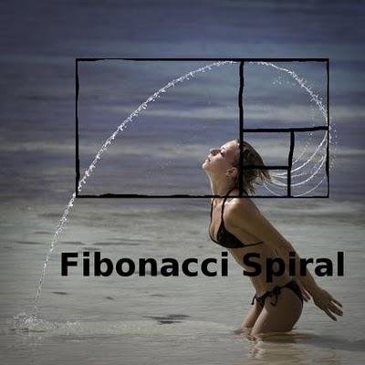 Spirale d'or (ou de Fibonacci)
