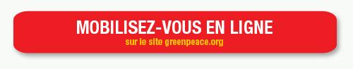 Greenpeace dénonce Nestlé, qui contribue à la déforestation en Indonésie