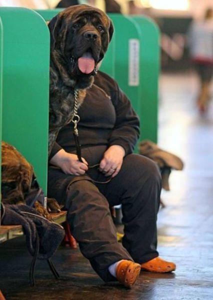 Dogman