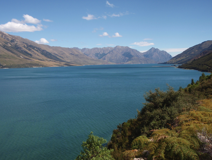 Image 29 VILMO IN NZ – WANAKA RULES