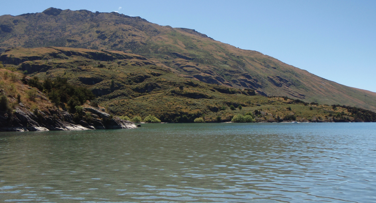 Image 17 VILMO IN NZ – WANAKA RULES