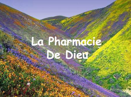 a_pharma_Dieu