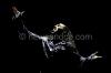 IMG_3136 IMG_3136