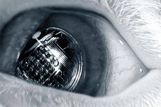 Des lentilles de contact bioniques alimentées par énergie solaire...