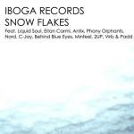 VA-Snow Flakes (2010)
