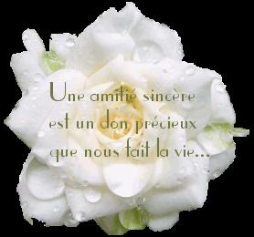 Partenariat Paradeigma, produits sans gluten Partenariat Paradeigma, produits sans gluten