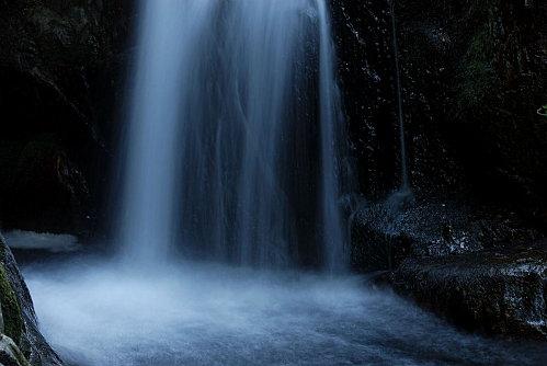 Cascades au chant d’oiseau (Wang Wei)