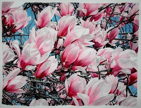 Le talus aux magnolias (Wang Wei)