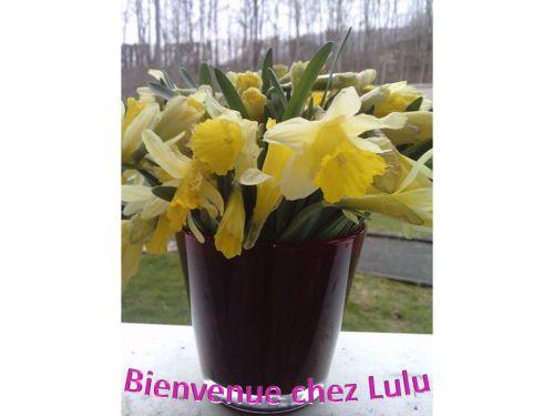 Balade d'un dimanche ensoleillé... Balade d'un dimanche ensoleillé...