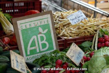 Agriculture biologique en Europe : les superficies cultivées en forte hausse