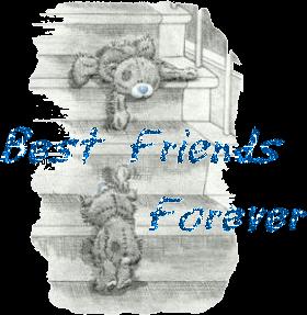 Best friends for ever !