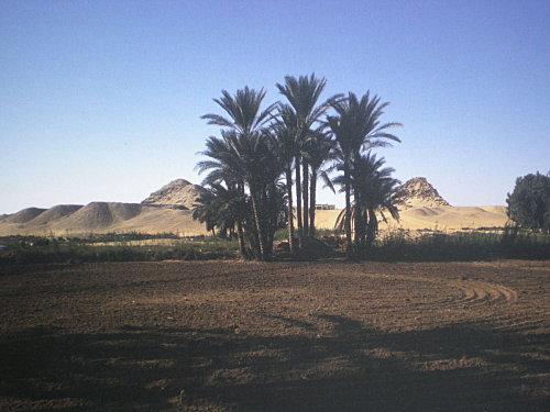 Abousir---Pyramides--2-.jpg