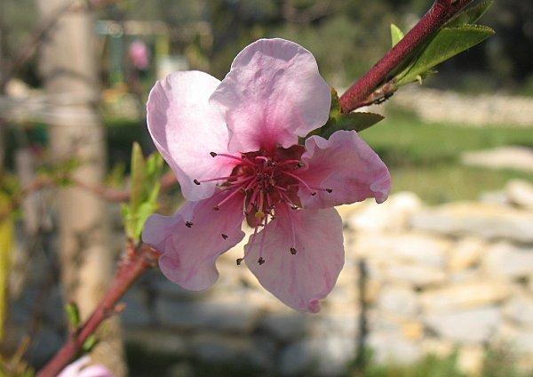 Tags à la pelle ! 4.jpg