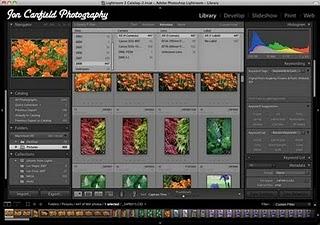 21 raisons d'utiliser Lightroom