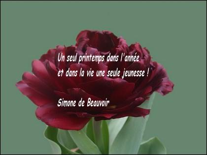 LE PRINTEMPS 36481bgfd