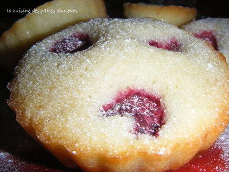 Financiers chocolat blanc et framboises DSCF4270