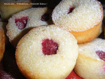 Financiers chocolat blanc et framboises DSCF4267