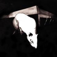 Les cahiers d'Adele Sortie du n°5 de la revue Les Cahiers d’Adèle