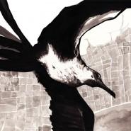 Les Cahiers d'Adèle2 Sortie du n°5 de la revue Les Cahiers d’Adèle