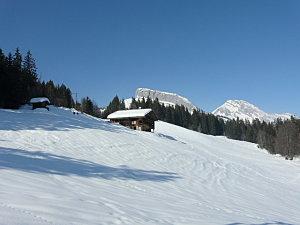 Retour de mes belles montagnes P1030552.JPG