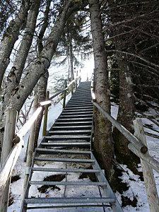 Retour de mes belles montagnes Gd-Bo-mars2010--25-.JPG