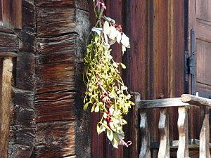 Retour de mes belles montagnes P1030538.JPG