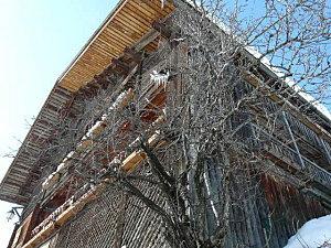 Retour de mes belles montagnes P1030531.JPG